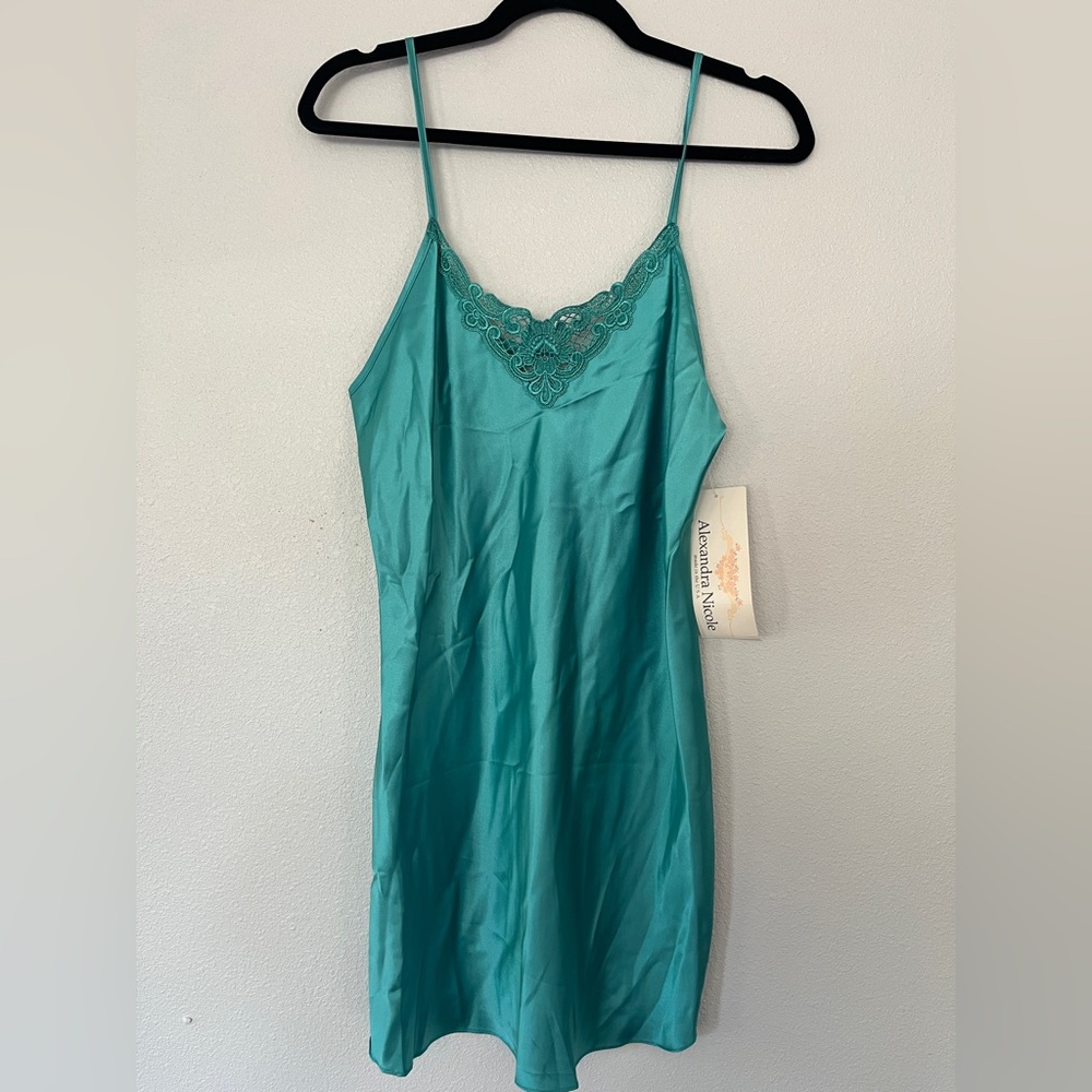 NWT Alexandra Nicole slip dress